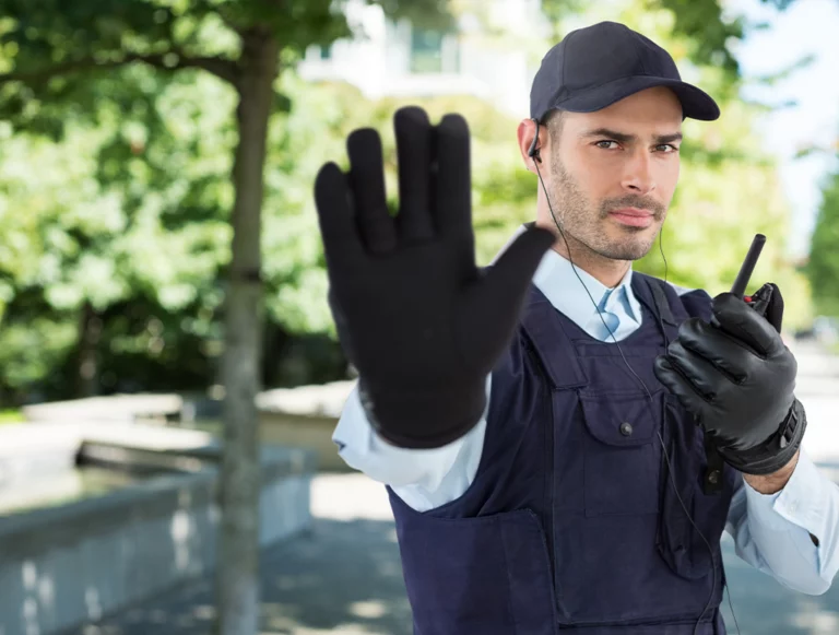 Addetto ai servizi di controllo delle attività di intrattenimento e di spettacolo – Addetto sicurezza